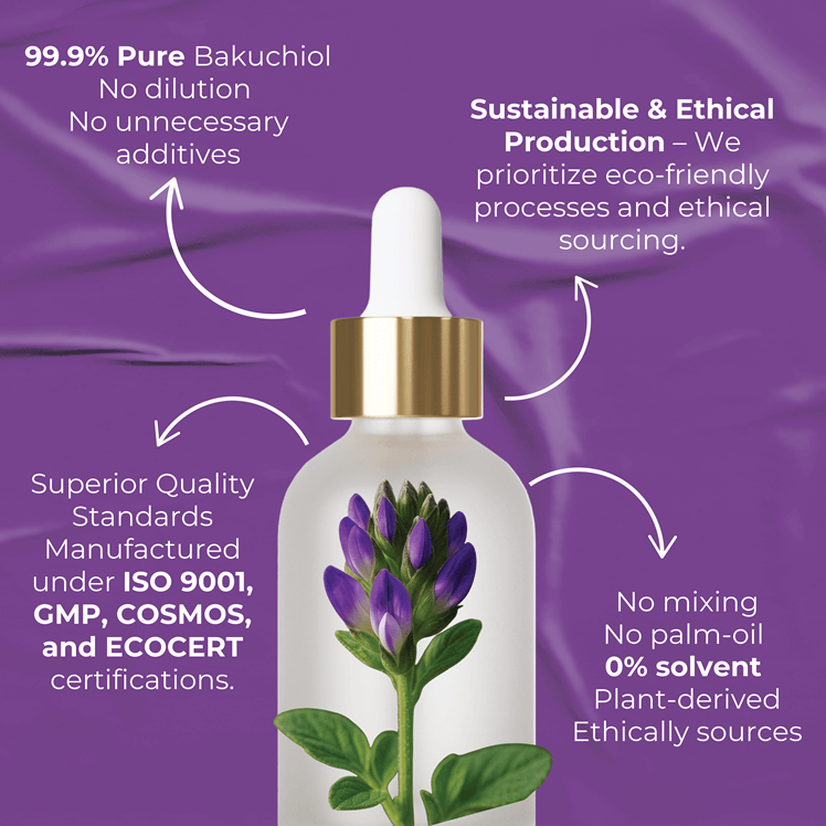 What Makes Our Product Stand Out